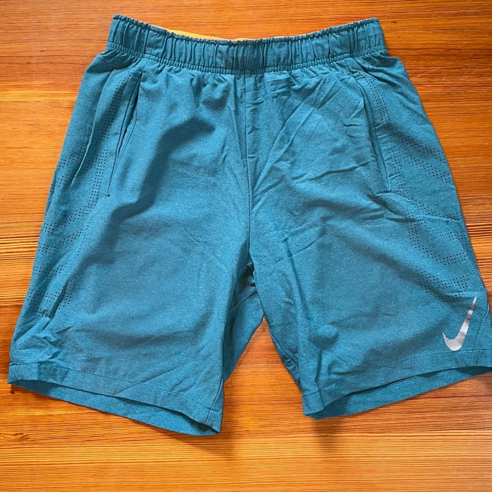 Nike Flex Repel shorts
